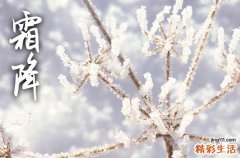 2023年霜降是几月几日 2023年霜降早还是晚