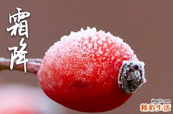 2023年霜降几点几分 霜降是几月几号2023年