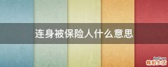 连身被保险人什么意思