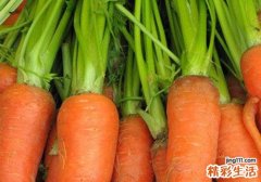 胡萝卜干的功效与作用
