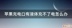 苹果充电口有液体充不了电怎么办