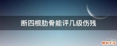 断四根肋骨能评几级伤残