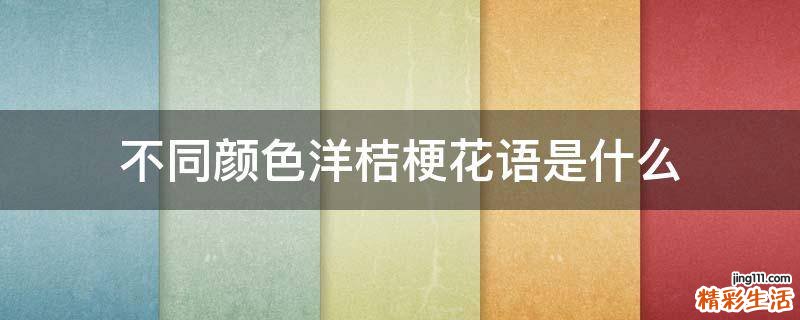不同颜色洋桔梗花语是什么