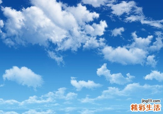 什么花粉美容养颜