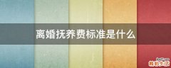 离婚抚养费标准是什么