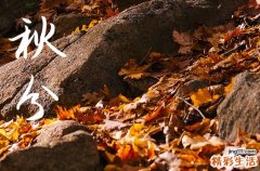 2023年秋分是几点几分几秒 2023年9月23日秋分几点