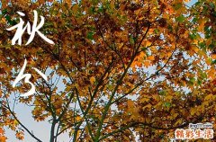 2023年秋分是几点几分几秒 秋分节气的三候