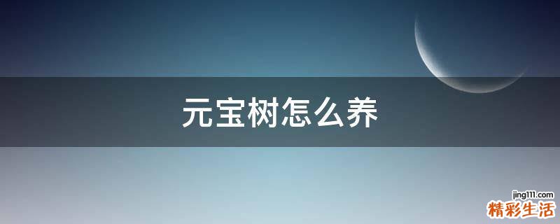 元宝树怎么养