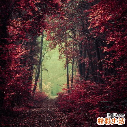 溃疡性结肠炎饮食注意