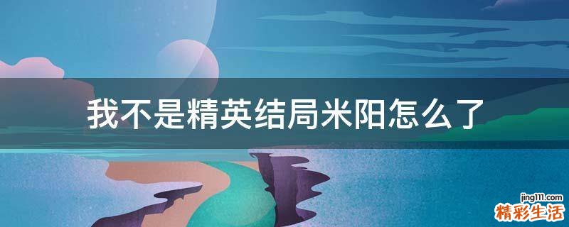 我不是精英结局米阳怎么了