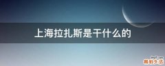 上海拉扎斯是干什么的
