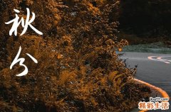 2023年秋分适合种什么农作物 要选容易种植的才正确