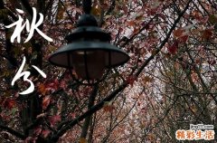 2023年秋分几月几秒几分几秒 养生技巧