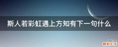 斯人若彩虹遇上方知有下一句什么
