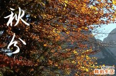 2023年秋分是什么时候