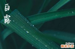 今天几点白露2023年