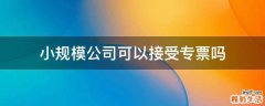 小规模公司可以接受专票吗