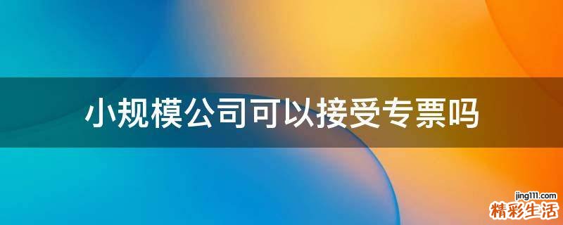 小规模公司可以接受专票吗