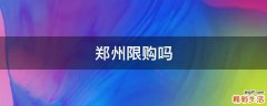 郑州限购吗