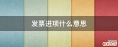 发票进项什么意思