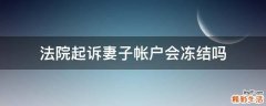 法院起诉妻子帐户会冻结吗