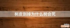 树皮刮掉为什么树会死