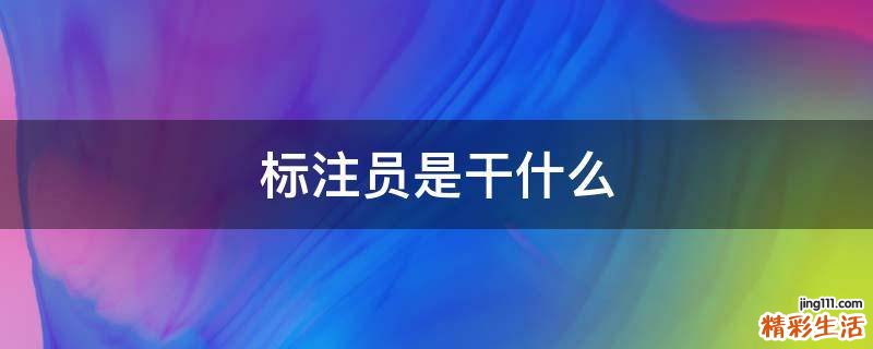 标注员是干什么