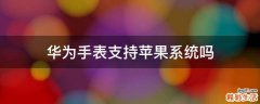 华为手表支持苹果系统吗