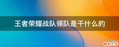王者荣耀战队领队是干什么的