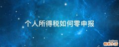 个人所得税如何零申报