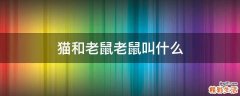 猫和老鼠老鼠叫什么