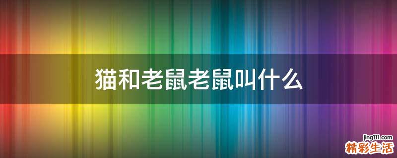 猫和老鼠老鼠叫什么