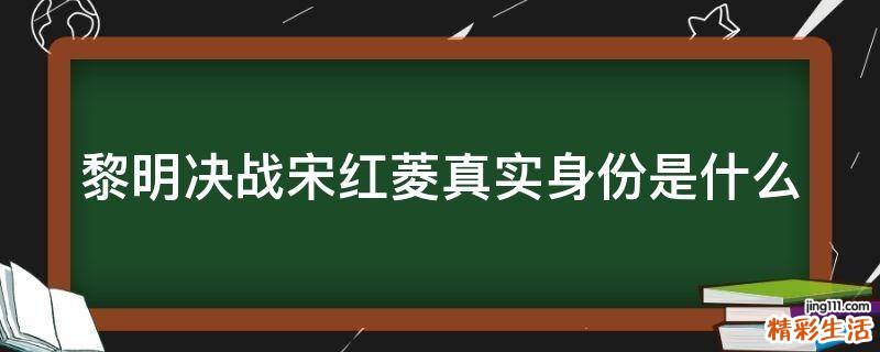 黎明决战宋红菱真实身份是什么