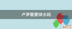 卢笋需要焯水吗