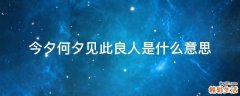 今夕何夕见此良人.是什么意思