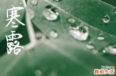 寒露节气养生要诀 寒露养生知识