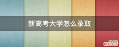 新高考大学怎么录取