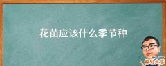 花苗应该什么季节种