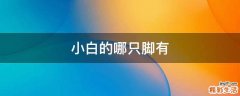小白的哪只脚有