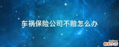 车祸保险公司不赔怎么办
