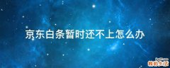 京东白条暂时还不上怎么办