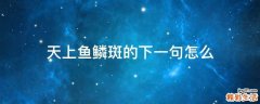 天上鱼鳞斑的下一句怎么
