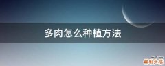 多肉怎么种植方法