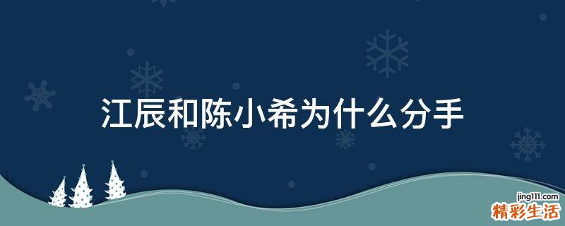 江辰和陈小希为什么分手