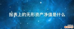 报表上的无形资产净值是什么