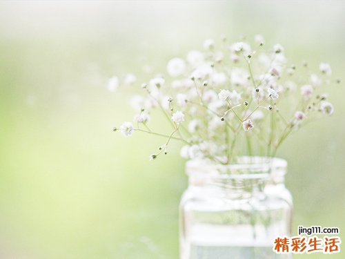 2 咽炎咳嗽的中医辨证论治