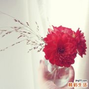 中医怎么治疗慢性前列腺炎