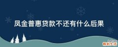 凤金普惠贷款不还有什么后果