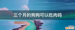 三个月的狗狗可以吃肉吗