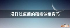 没打过疫苗的猫能做绝育吗